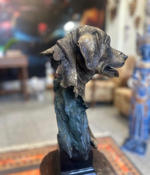 WhatsApp Image 2025-06-07 at 12.51.34 (1)