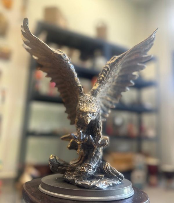 WhatsApp Image 2025-06-07 at 15.47.25 (4)